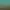 Shark Dating Simulator XL+.