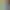 Shark Dating Simulator XL+.