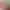 https://shared.akamai.steamstatic.com/store_item_assets/steam/apps/673130/ac7a568968bcfcdf78c215b920b77e67deadd54c/header.jpg?t=1743245671