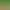 https://shared.akamai.steamstatic.com/store_item_assets/steam/apps/686900/header.jpg?t=1667302740