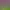https://shared.akamai.steamstatic.com/store_item_assets/steam/apps/690260/header.jpg?t=1532934953