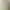 https://shared.akamai.steamstatic.com/store_item_assets/steam/apps/691830/header.jpg?t=1724976703
