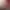 https://shared.akamai.steamstatic.com/store_item_assets/steam/apps/699130/header.jpg?t=1733932481