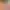 https://shared.akamai.steamstatic.com/store_item_assets/steam/apps/704910/d70c5a644fdd95592c98831f50cb215a546948ad/header.jpg?t=1750491664