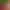 https://shared.akamai.steamstatic.com/store_item_assets/steam/apps/70660/header.jpg?t=1741626670