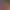 https://shared.akamai.steamstatic.com/store_item_assets/steam/apps/707610/header.jpg?t=1740396405