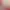 https://shared.akamai.steamstatic.com/store_item_assets/steam/apps/721711/header.jpg?t=1637487347