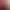 https://shared.akamai.steamstatic.com/store_item_assets/steam/apps/724300/header.jpg?t=1735479476
