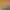 https://shared.akamai.steamstatic.com/store_item_assets/steam/apps/725110/header.jpg?t=1705073914