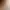 https://shared.akamai.steamstatic.com/store_item_assets/steam/apps/758190/header.jpg?t=1646649681