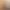 https://shared.akamai.steamstatic.com/store_item_assets/steam/apps/758370/header.jpg?t=1695283693
