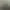 Lumberjack Simulator.