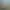 Lumberjack Simulator.