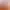 Anime Girls VR.