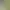 https://shared.akamai.steamstatic.com/store_item_assets/steam/apps/771680/header.jpg?t=1733680946
