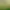 https://shared.akamai.steamstatic.com/store_item_assets/steam/apps/773951/header.jpg?t=1619178850
