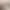 https://shared.akamai.steamstatic.com/store_item_assets/steam/apps/779340/header.jpg?t=1740720569