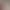 https://shared.akamai.steamstatic.com/store_item_assets/steam/apps/786290/header.jpg?t=1734033132