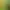 https://shared.akamai.steamstatic.com/store_item_assets/steam/apps/787810/header.jpg?t=1750172963