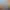 Funny Wings VR.