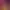 Lightfield HYPER Edition.