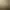 Panzer War : Definitive Edition.