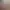 https://shared.akamai.steamstatic.com/store_item_assets/steam/apps/802450/header.jpg?t=1626442282