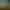 https://shared.akamai.steamstatic.com/store_item_assets/steam/apps/803150/header.jpg?t=1728895721