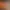 https://shared.akamai.steamstatic.com/store_item_assets/steam/apps/805590/header.jpg?t=1732463299