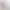 https://shared.akamai.steamstatic.com/store_item_assets/steam/apps/810420/header.jpg?t=1669228021