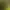 Find the Gnome.