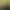 Find the Gnome.