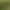 Find the Gnome.