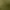 Find the Gnome.