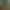 Cursed Lands MP3+Wallpapers.