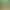 https://shared.akamai.steamstatic.com/store_item_assets/steam/apps/816340/header.jpg?t=1739820680