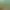 https://shared.akamai.steamstatic.com/store_item_assets/steam/apps/821820/header.jpg?t=1727882008