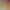 https://shared.akamai.steamstatic.com/store_item_assets/steam/apps/833270/header.jpg?t=1750430775