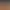 https://shared.akamai.steamstatic.com/store_item_assets/steam/apps/837460/header.jpg?t=1732066122