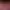 The Indie Game Legend 3D.