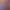 https://shared.akamai.steamstatic.com/store_item_assets/steam/apps/851100/header.jpg?t=1738220939