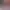 https://shared.akamai.steamstatic.com/store_item_assets/steam/apps/858780/header.jpg?t=1734033409