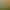 https://shared.akamai.steamstatic.com/store_item_assets/steam/apps/860880/header.jpg?t=1740394198