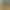 Dinosaur Fossil Hunter - симулятор палеонтологии.
