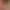 https://shared.akamai.steamstatic.com/store_item_assets/steam/apps/882670/header.jpg?t=1566539193