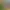 https://shared.akamai.steamstatic.com/store_item_assets/steam/apps/884270/header.jpg?t=1740393668