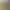 https://shared.akamai.steamstatic.com/store_item_assets/steam/apps/894420/header.jpg?t=1728248387