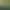 JUMANJI: The Video Game.