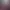 https://shared.akamai.steamstatic.com/store_item_assets/steam/apps/897930/header.jpg?t=1724973705