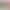 https://shared.akamai.steamstatic.com/store_item_assets/steam/apps/930210/header.jpg?t=1667495159